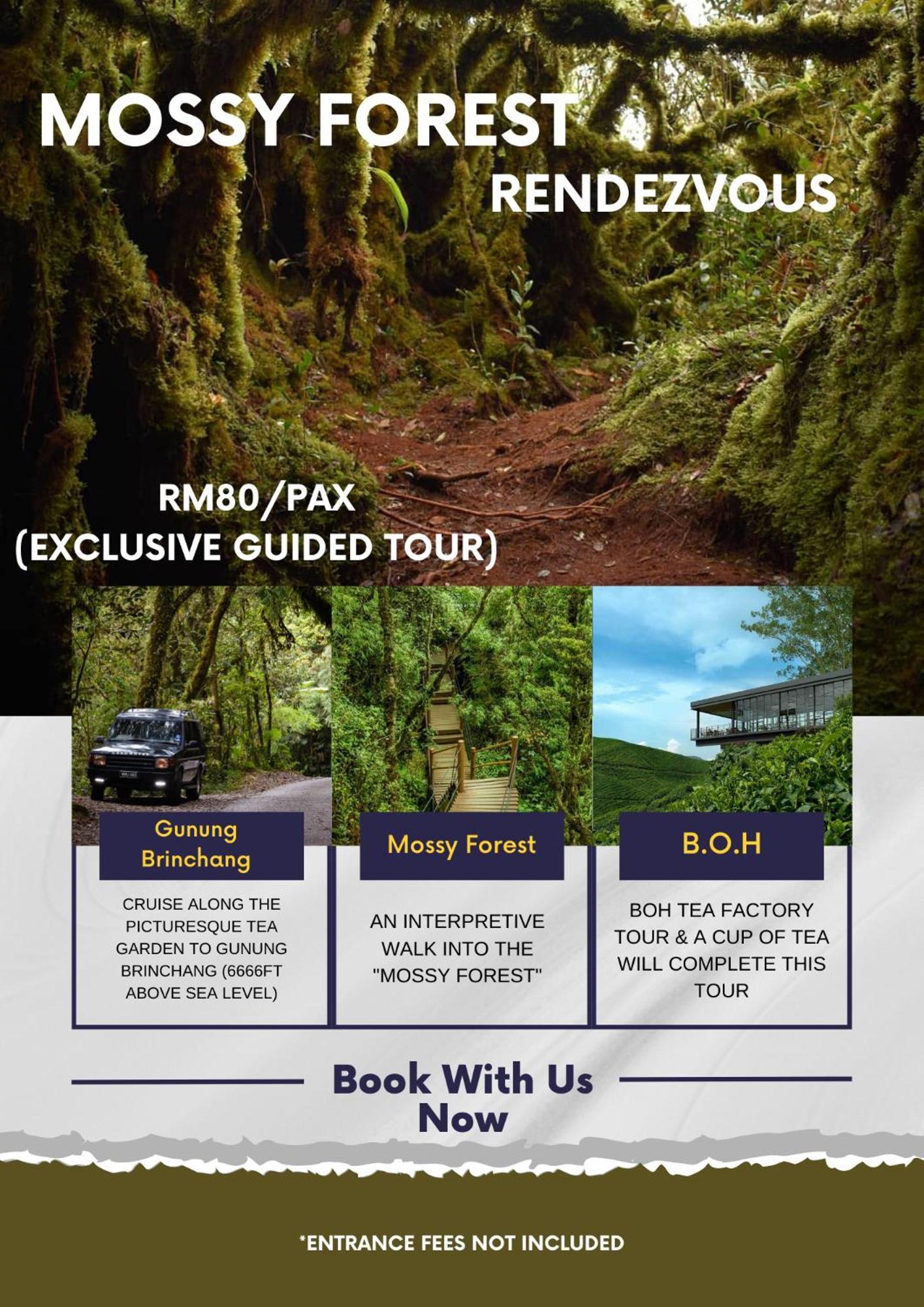 Rovers Inn Guesthouse - Age 11 And Above Only (Adults Only) ตานาห์ราตา ภายนอก รูปภาพ
